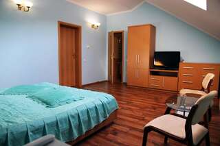 Отель Закарпатский Оазис Карпаты Двухместный номер с 1 кроватью - Мансарда-1